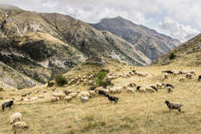 Albania-Central-King Skerdilajdi Trail